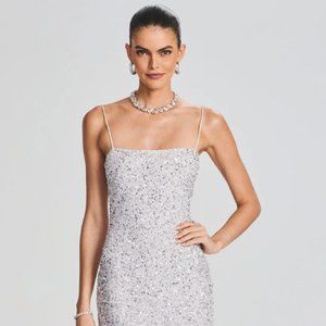 Retrofête Dionne Sequin Dress